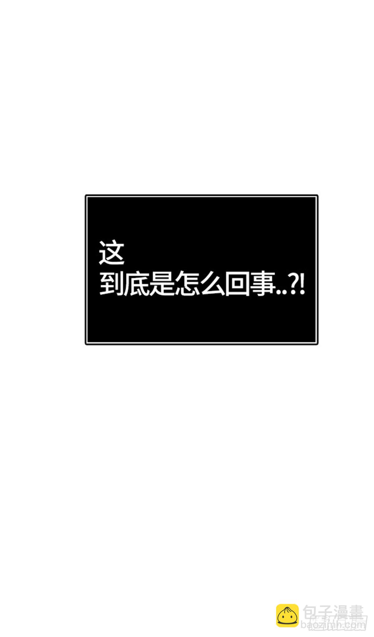 95.jpg