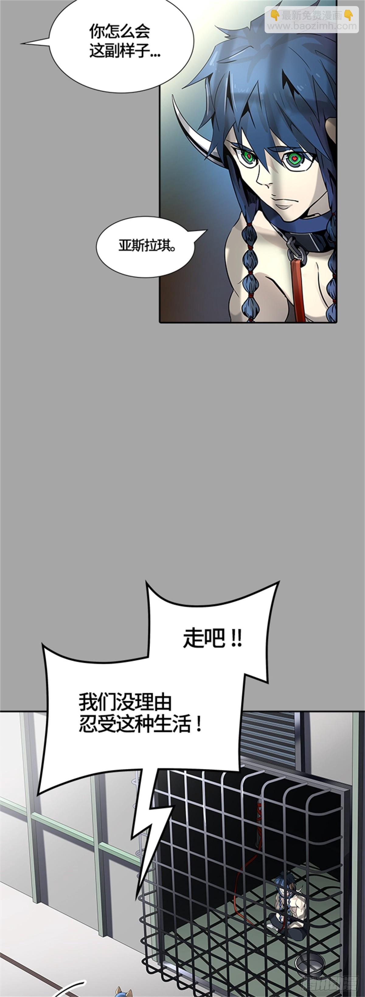 97.jpg