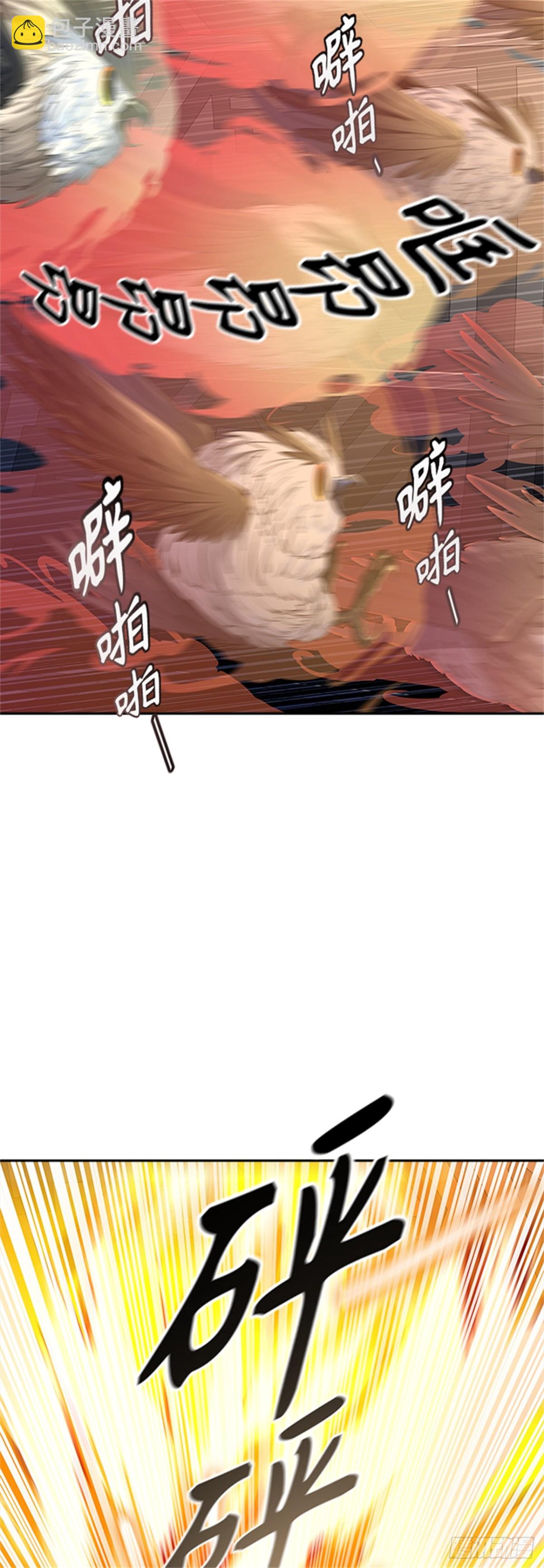 48.jpg