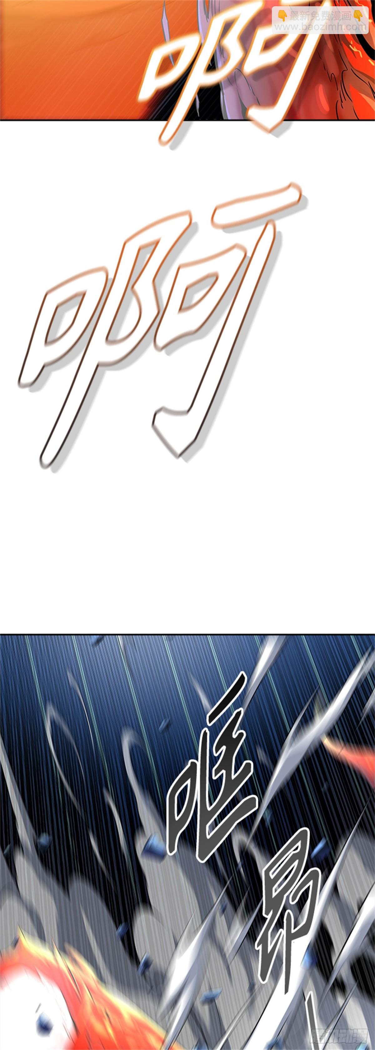 41.jpg