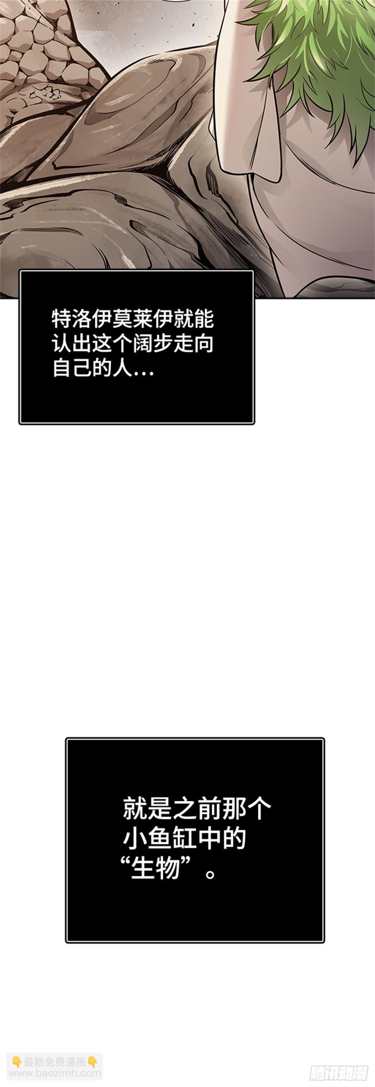 78.jpg