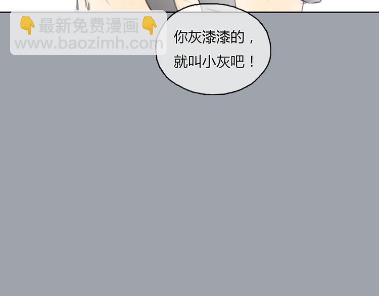 第24话 圣诞番外：爱黏思勋的小灰的故事(1/2)-第24话