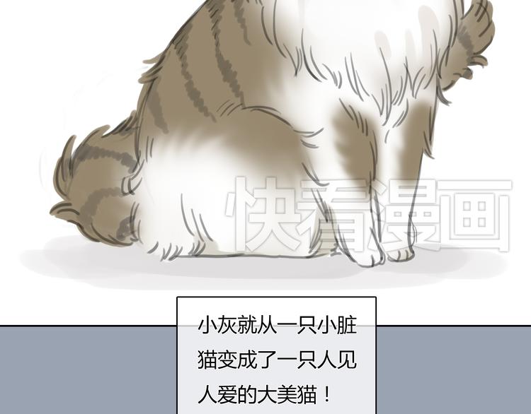 第24话 圣诞番外：爱黏思勋的小灰的故事(1/2)-第24话