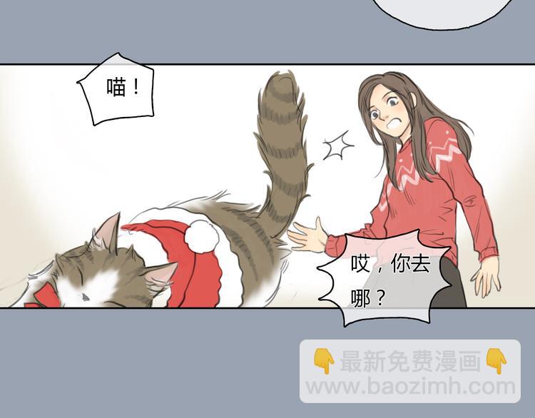 第24话 圣诞番外：爱黏思勋的小灰的故事(1/2)-第24话