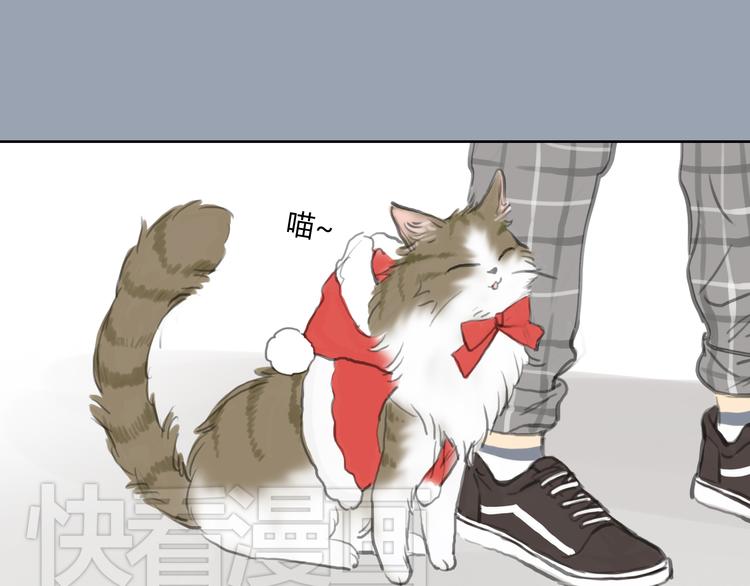 第24话 圣诞番外：爱黏思勋的小灰的故事(1/2)-第24话