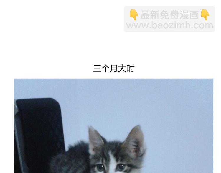 第24话 圣诞番外：爱黏思勋的小灰的故事(1/2)-第24话