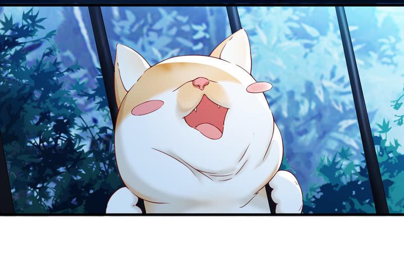 抢劫？！(1/2)-第12话