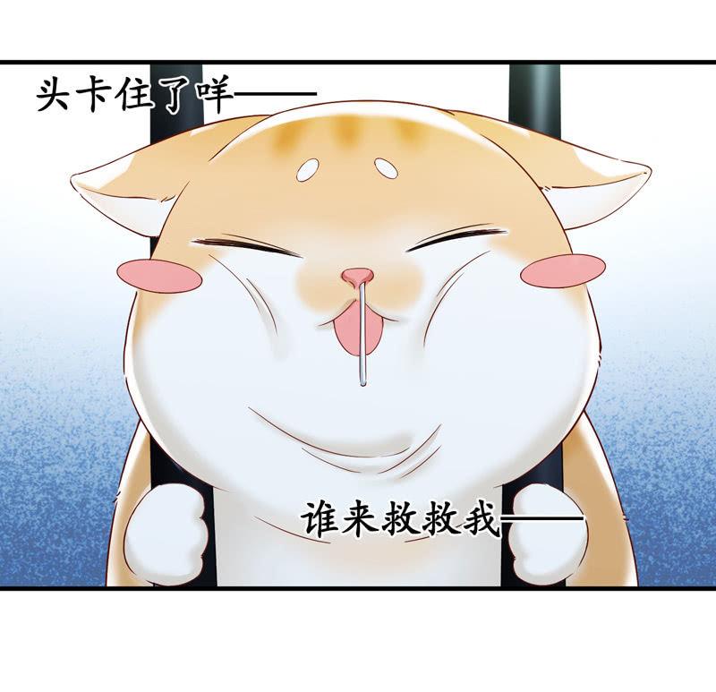 抢劫？！(1/2)-第12话