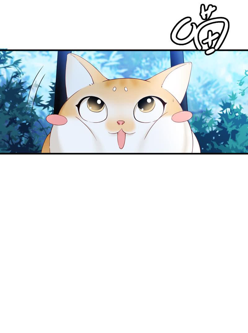 抢劫？！(1/2)-第12话