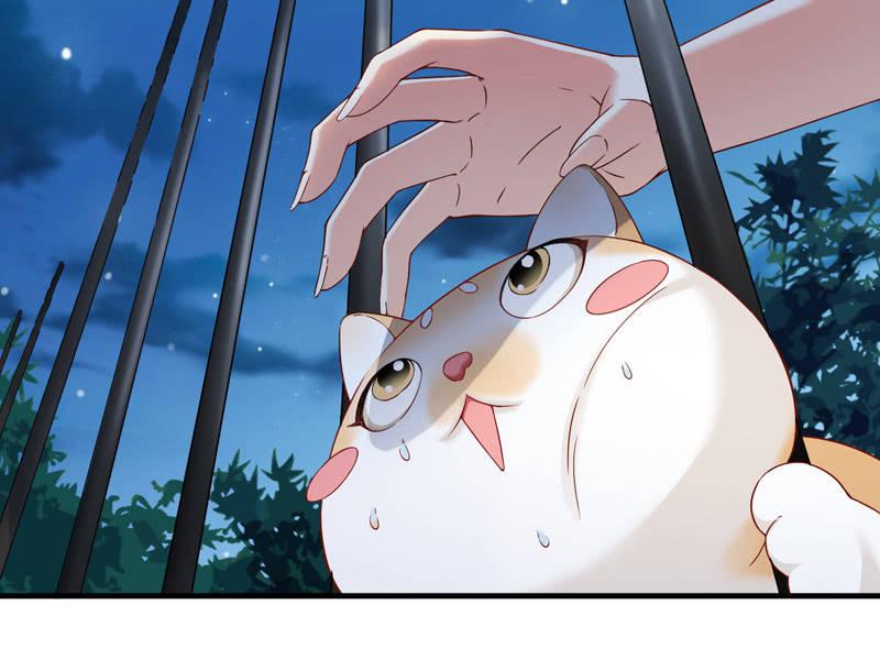 抢劫？！(1/2)-第12话