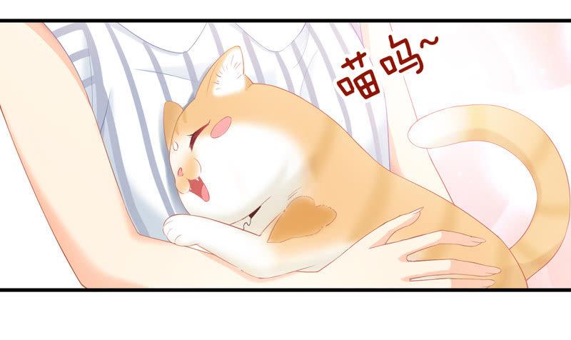 我们闯大祸了(1/2)-第14话