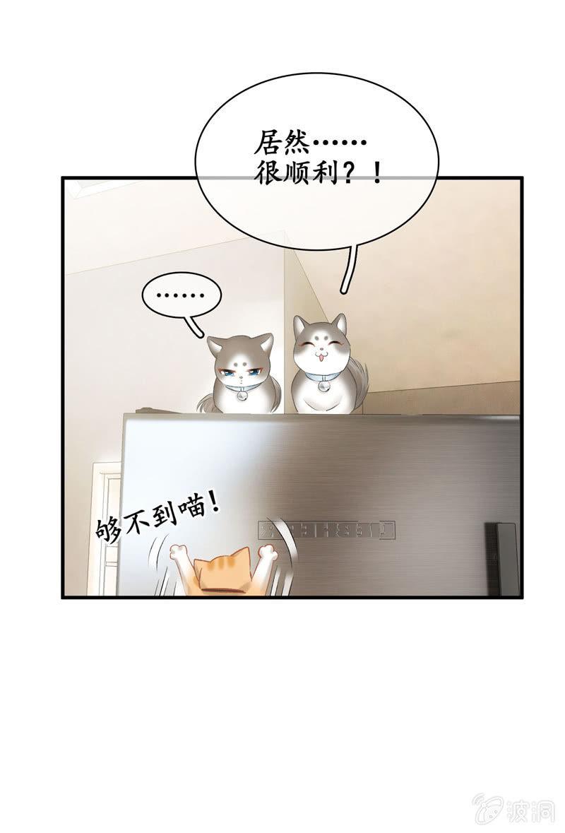 恋爱的酸臭味(1/2)-第140话