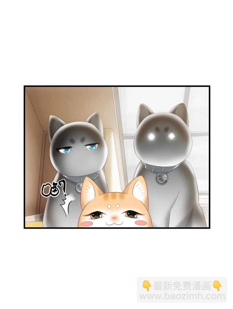 恋爱的酸臭味(1/2)-第140话