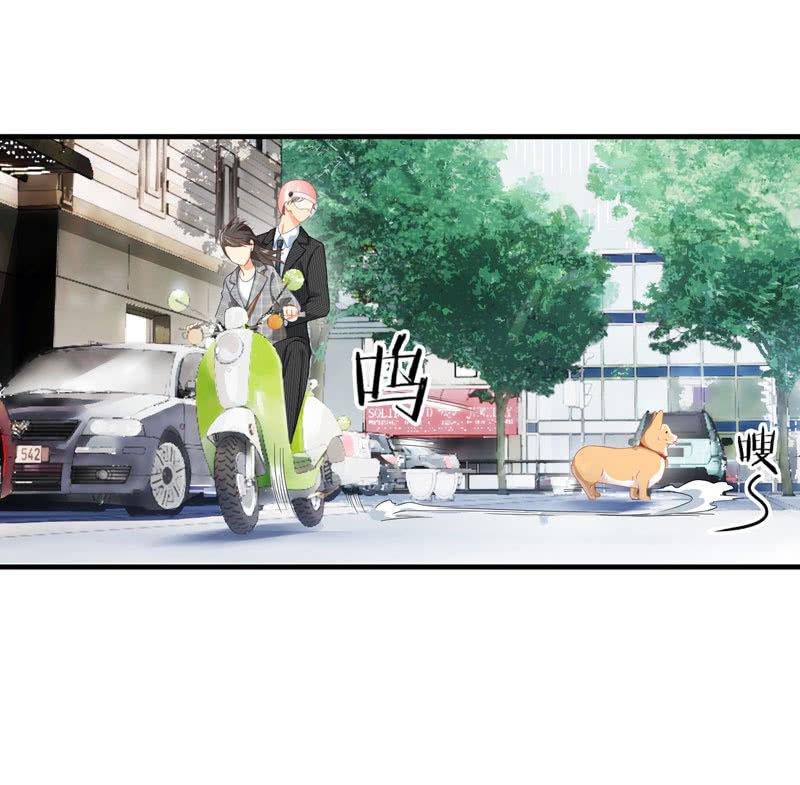 这丫头是个疯子吗(1/2)-第4话