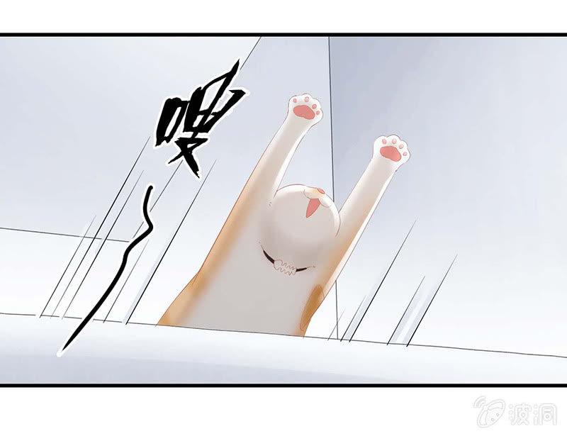 学长家充满了惊喜-第34话