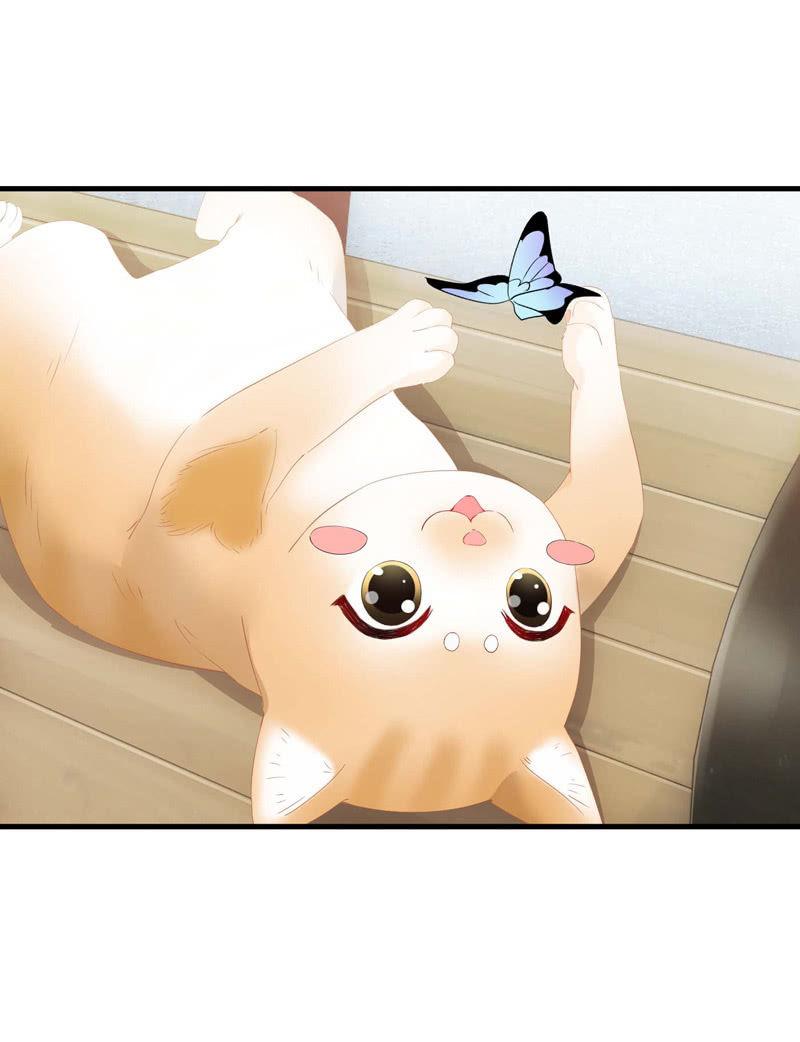 妹妹陷入危机了(1/2)-第42话