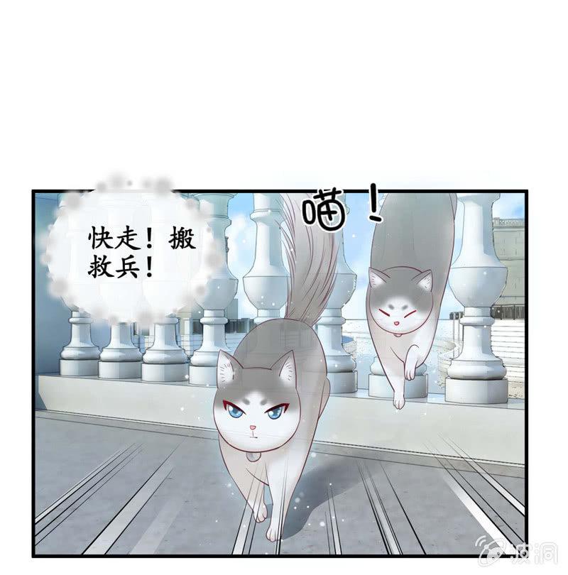 妹妹陷入危机了(1/2)-第42话