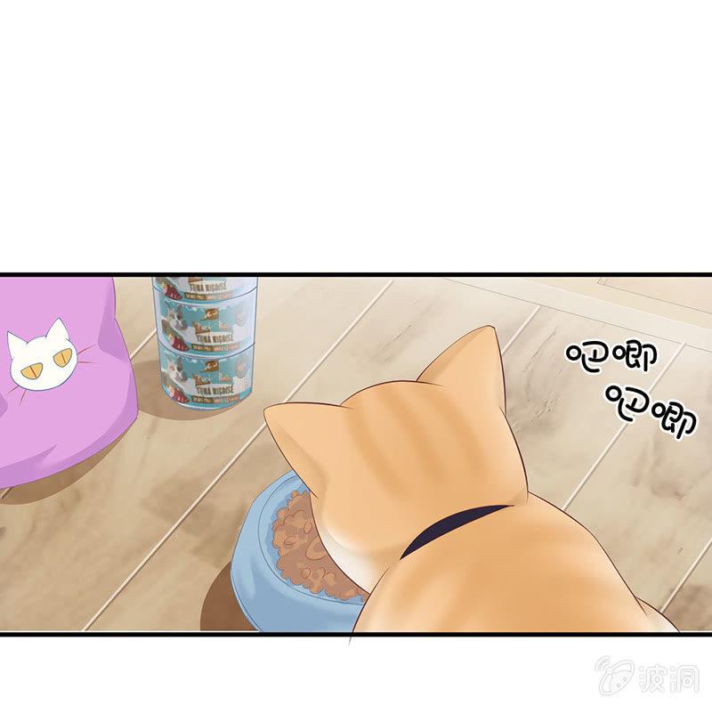 父母也有&ldquo;潮&rdquo;的岁月-第44话