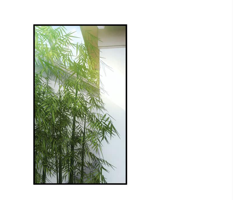 雨中曲(1/2)-第52话