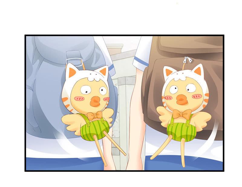 找到橘猫啦！(1/2)-第70话