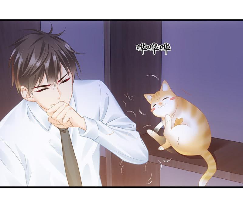 十二少女星·川溪入梦 - 危机前奏(1/2) - 3