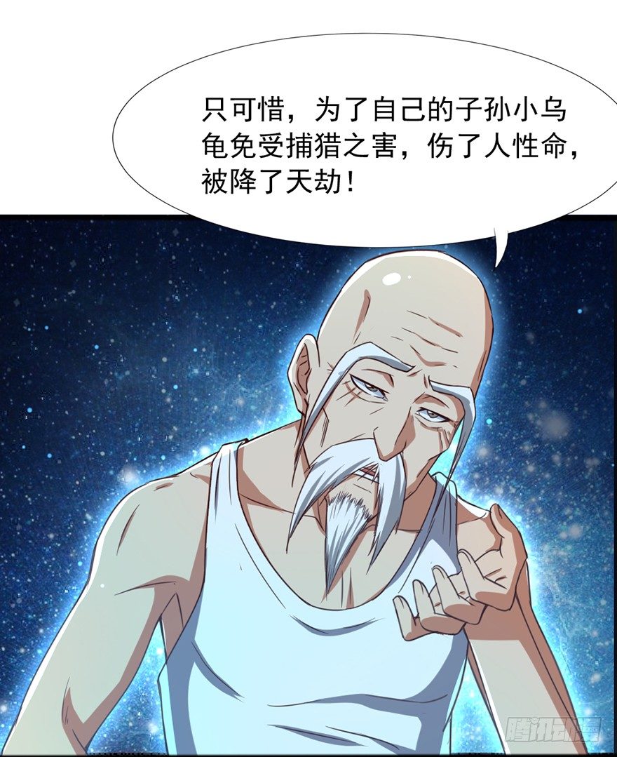 第41话 龟丹重生-第42话