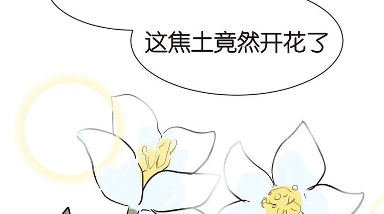 师父又掉线了 - 第32章 草木灵，变身！(1/3) - 6