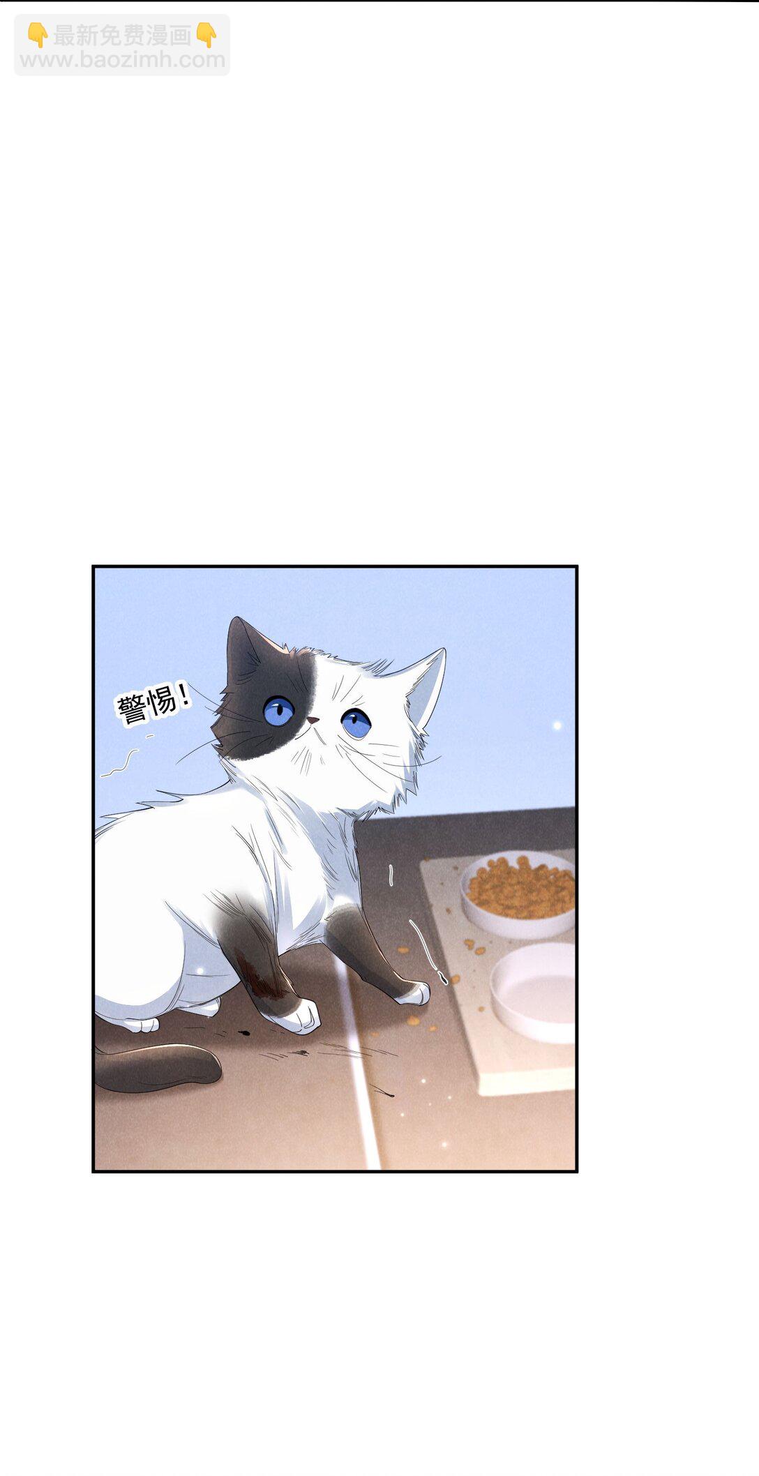 017 所谓真相(1/2)-第18话