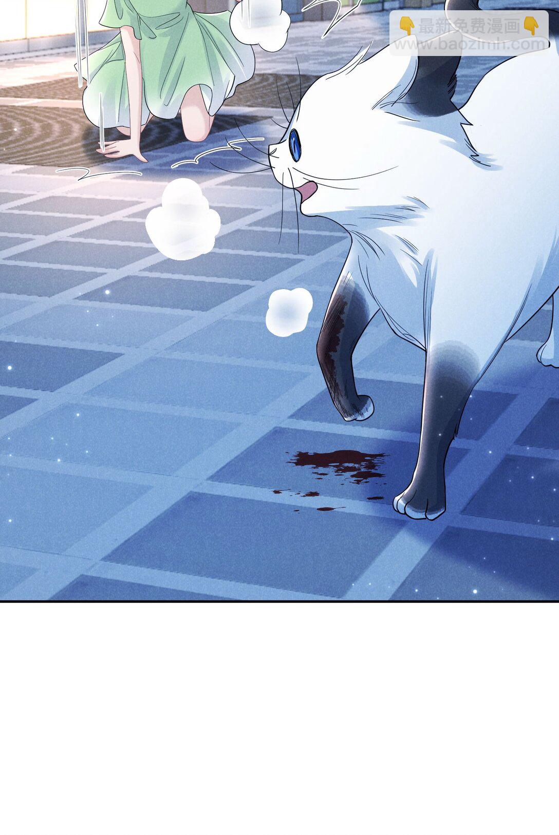 017 所谓真相(1/2)-第18话