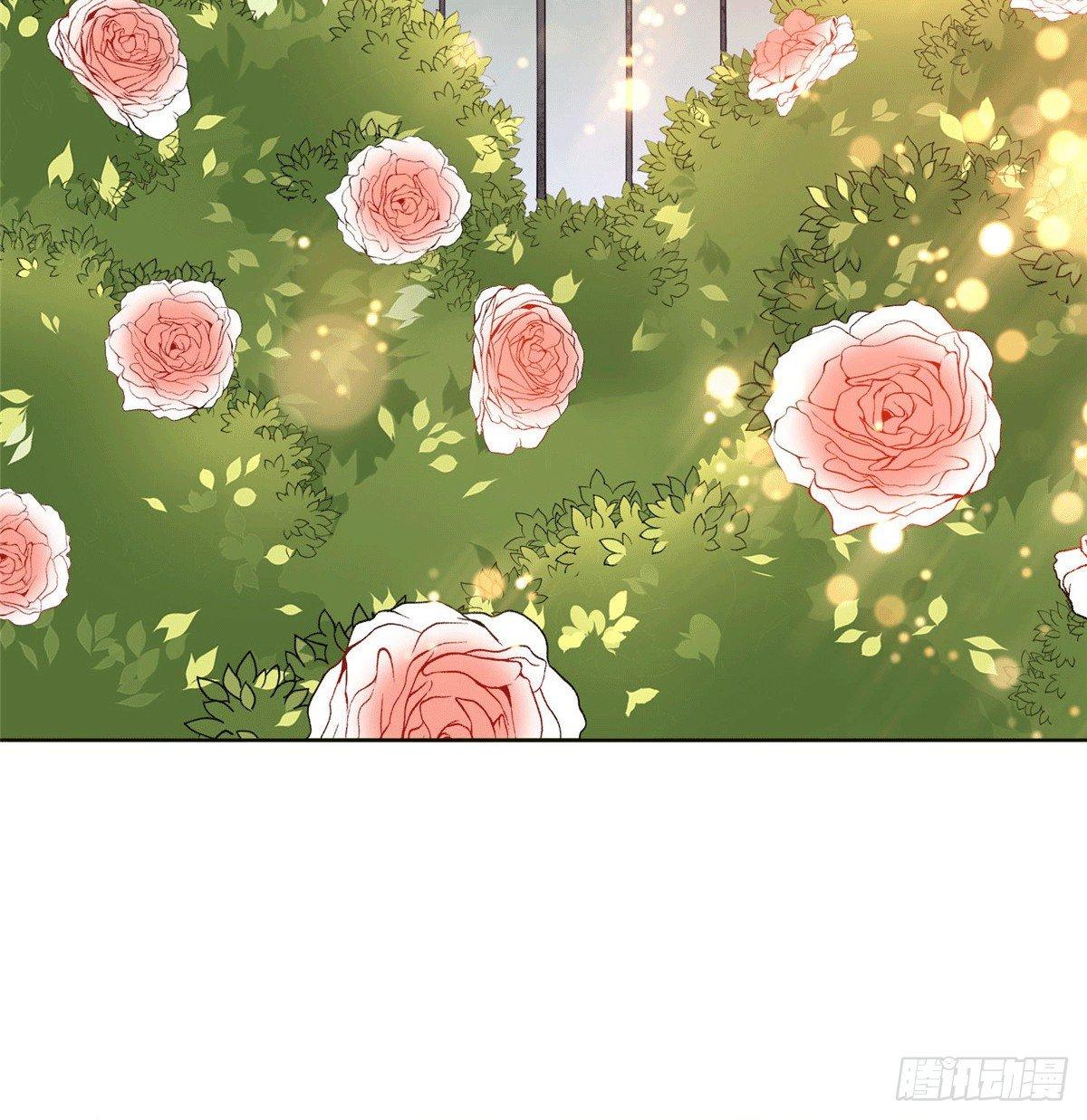 第二十七话 宣布复出(1/2)-第76话