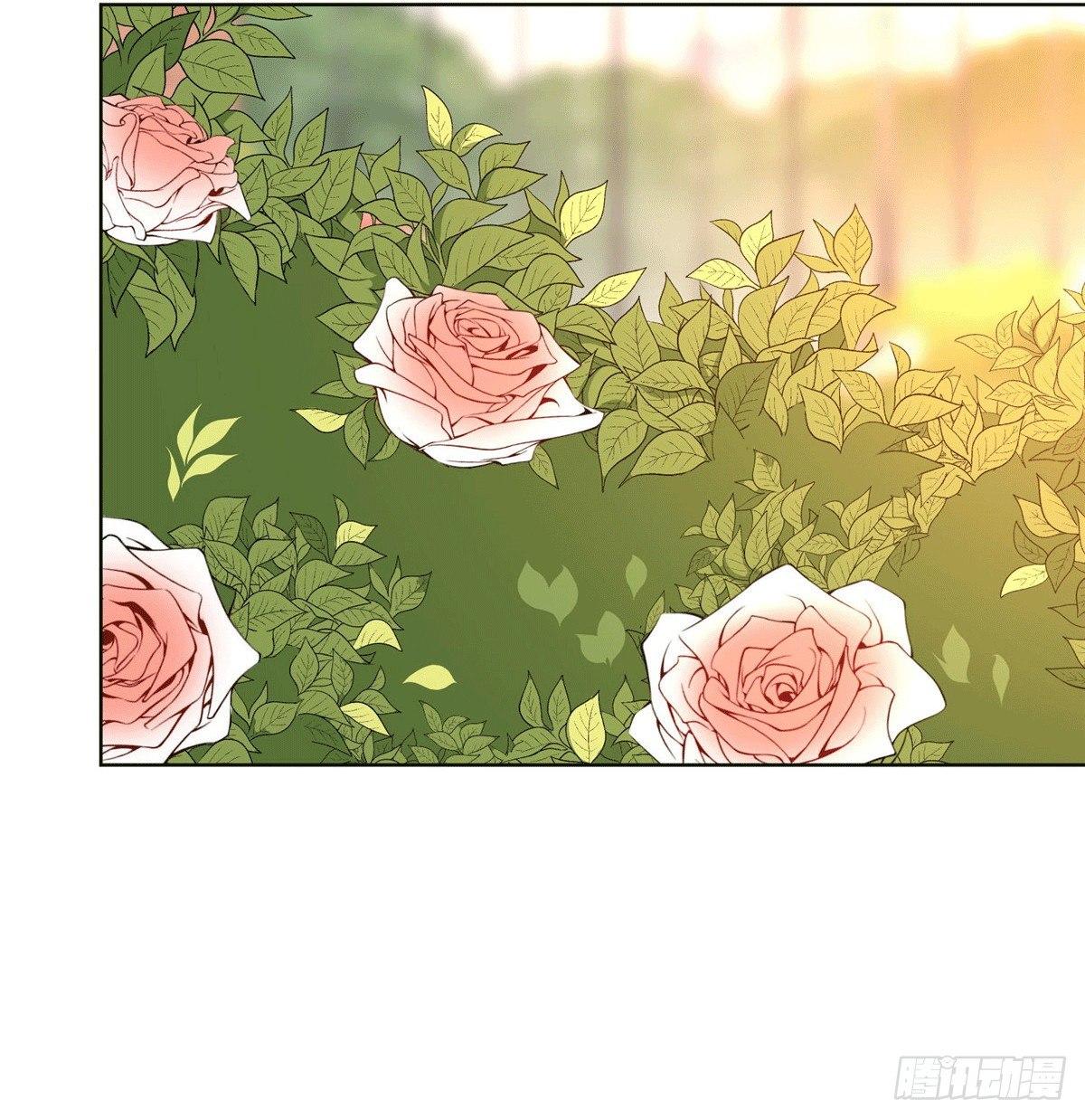 第二十七话 宣布复出(1/2)-第76话