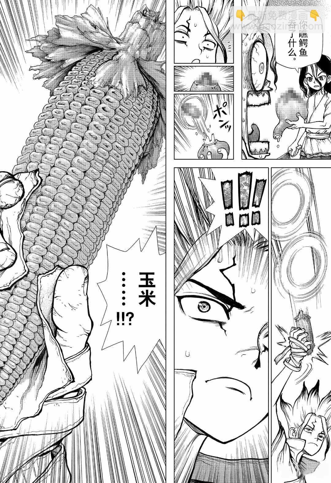 石紀元（Dr.Stone） - 第148話 - 2