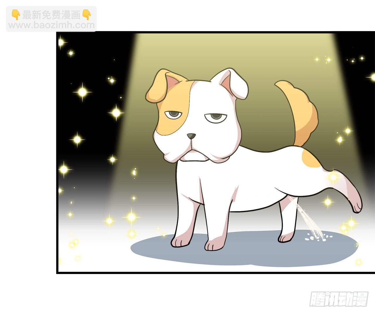 似曾相识-第24话