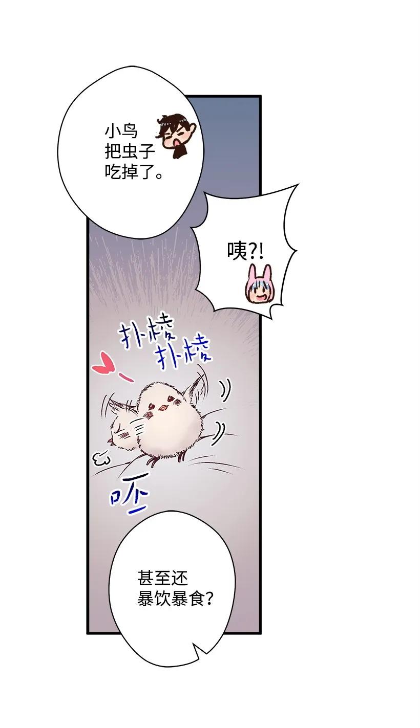 18 黑色斑点(1/2)-第18话