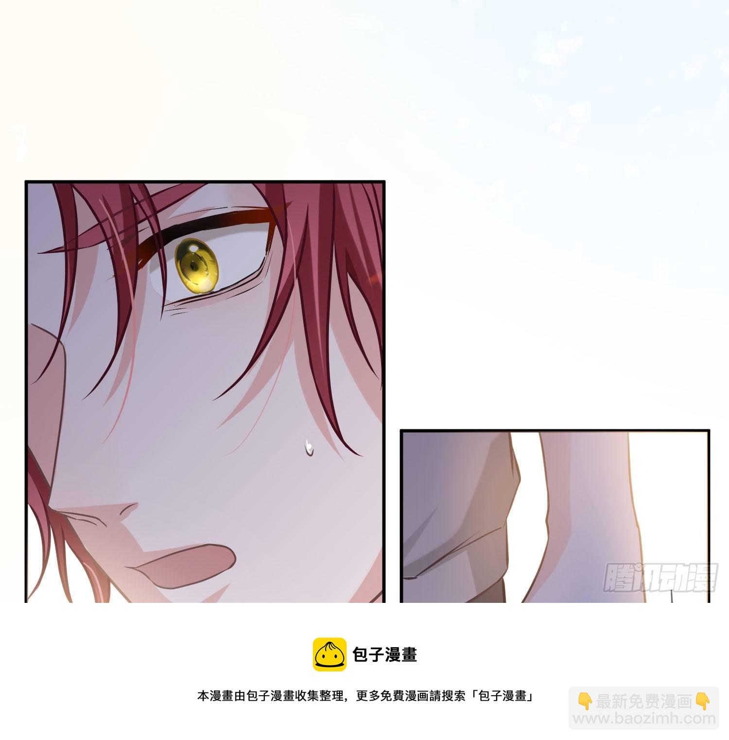 第11话：被监视的玩偶(1/2)-第14话