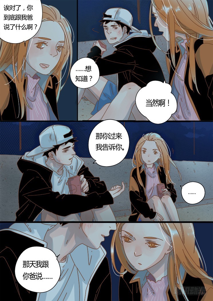 8.屋顶畅聊-第8话