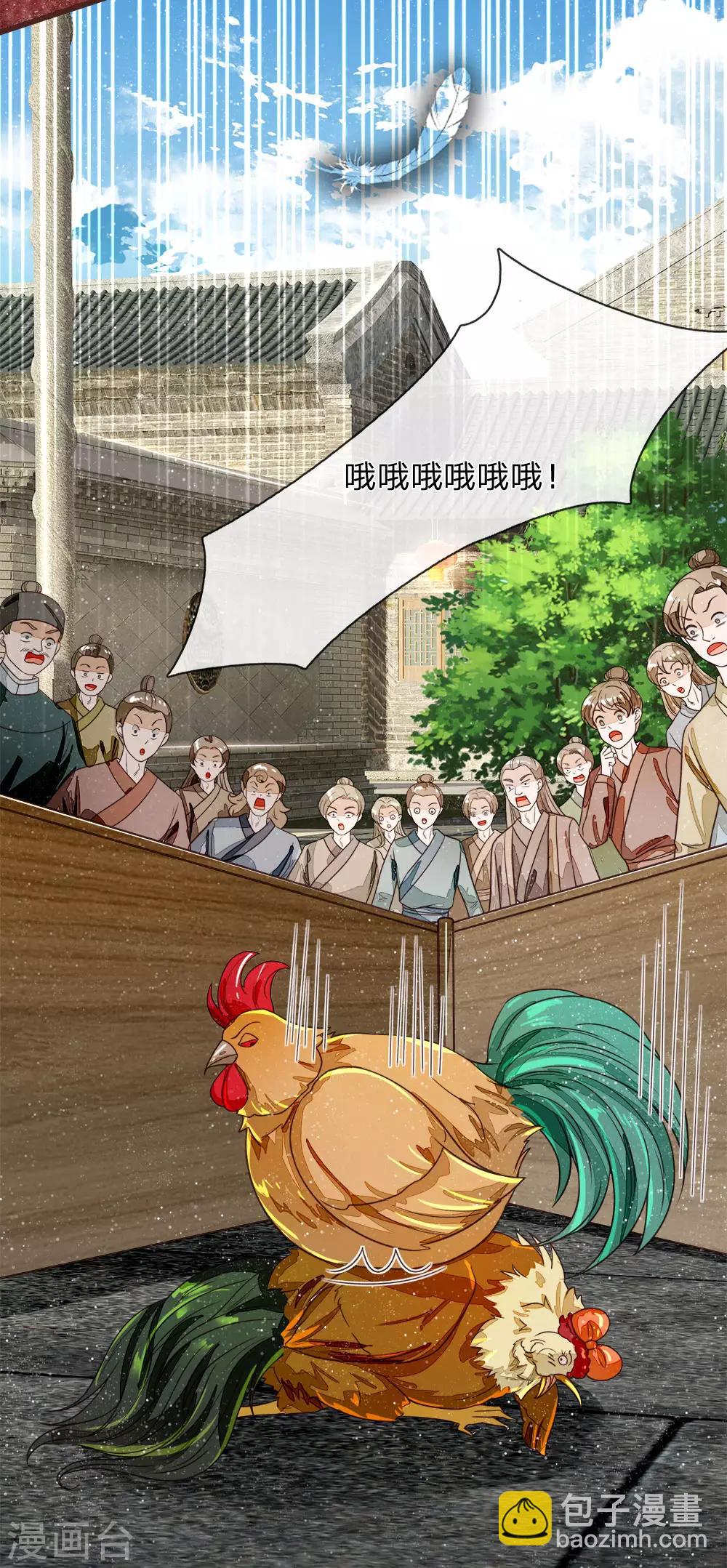 第90话 肉鸡正式更名：战斗鸡-第94话