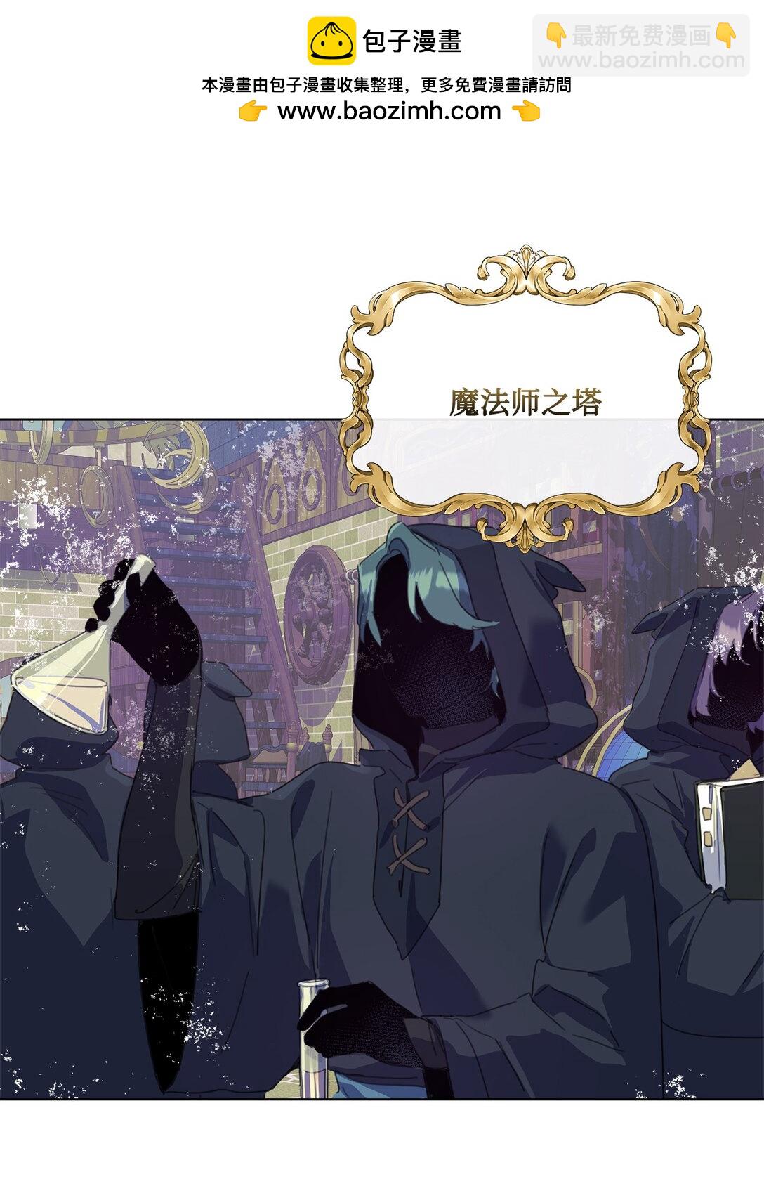 40 魔法师之塔(1/2)-第40话