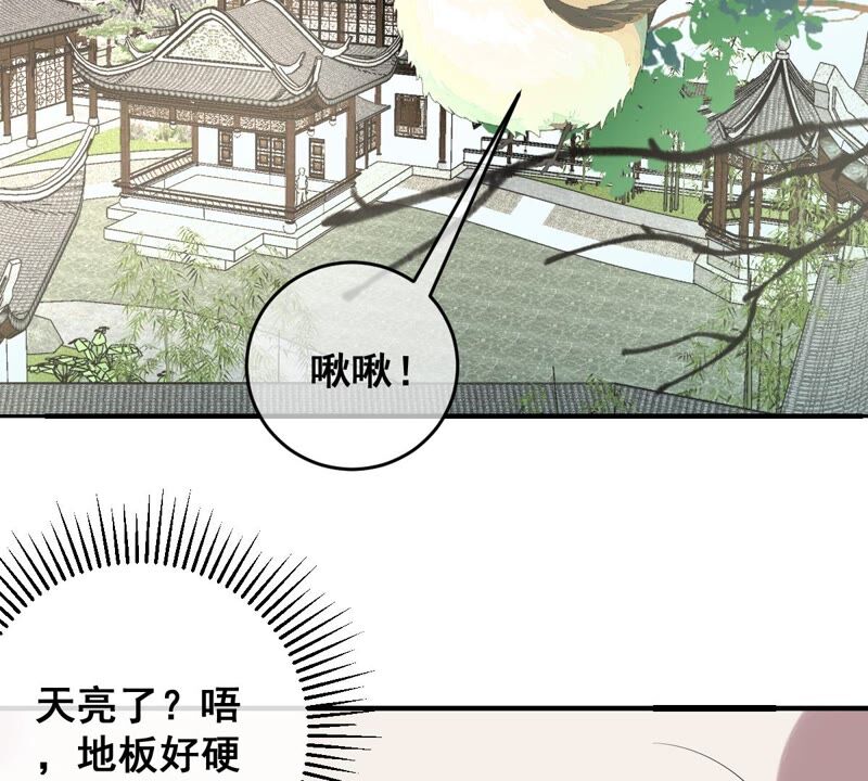 世無良貓 - 第181話 營救計劃(1/2) - 4