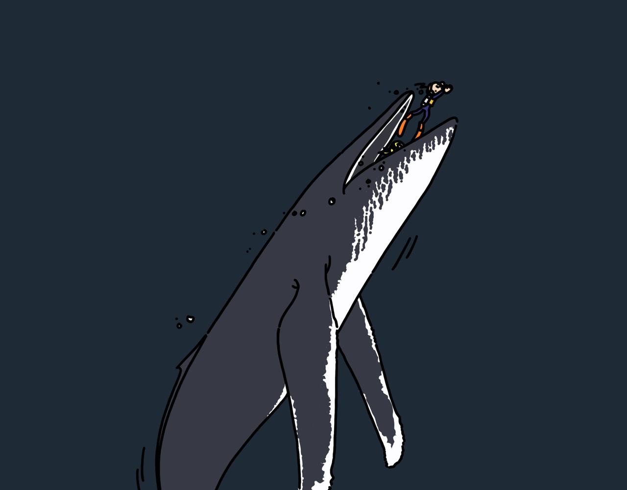 第21集 生命之树藏生命，大海深处有大鱼-第20话