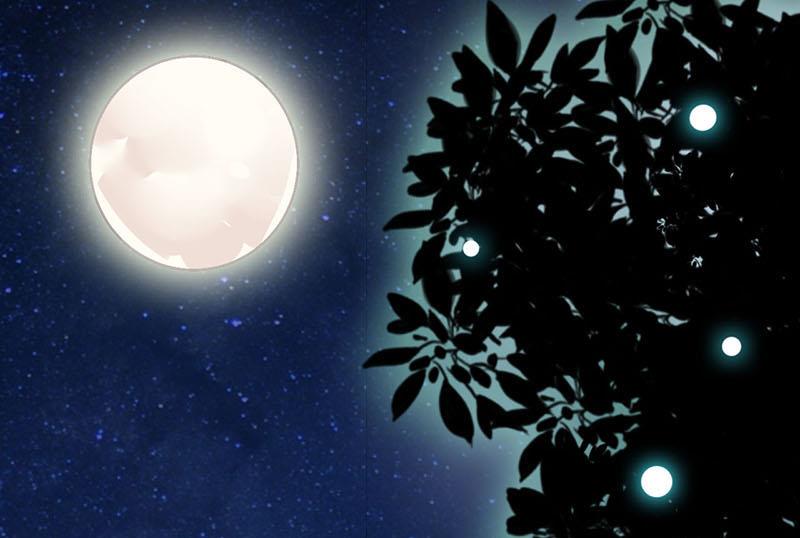 第3话 新婚夜(1/2)-第4话