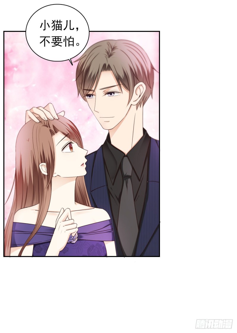 小猫儿不要怕，我在-第54话