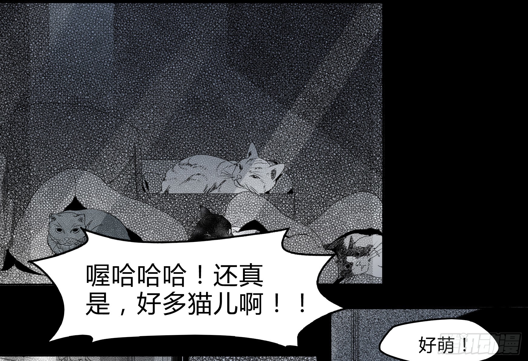 世有蹊蹺 - 看家的貓 - 6