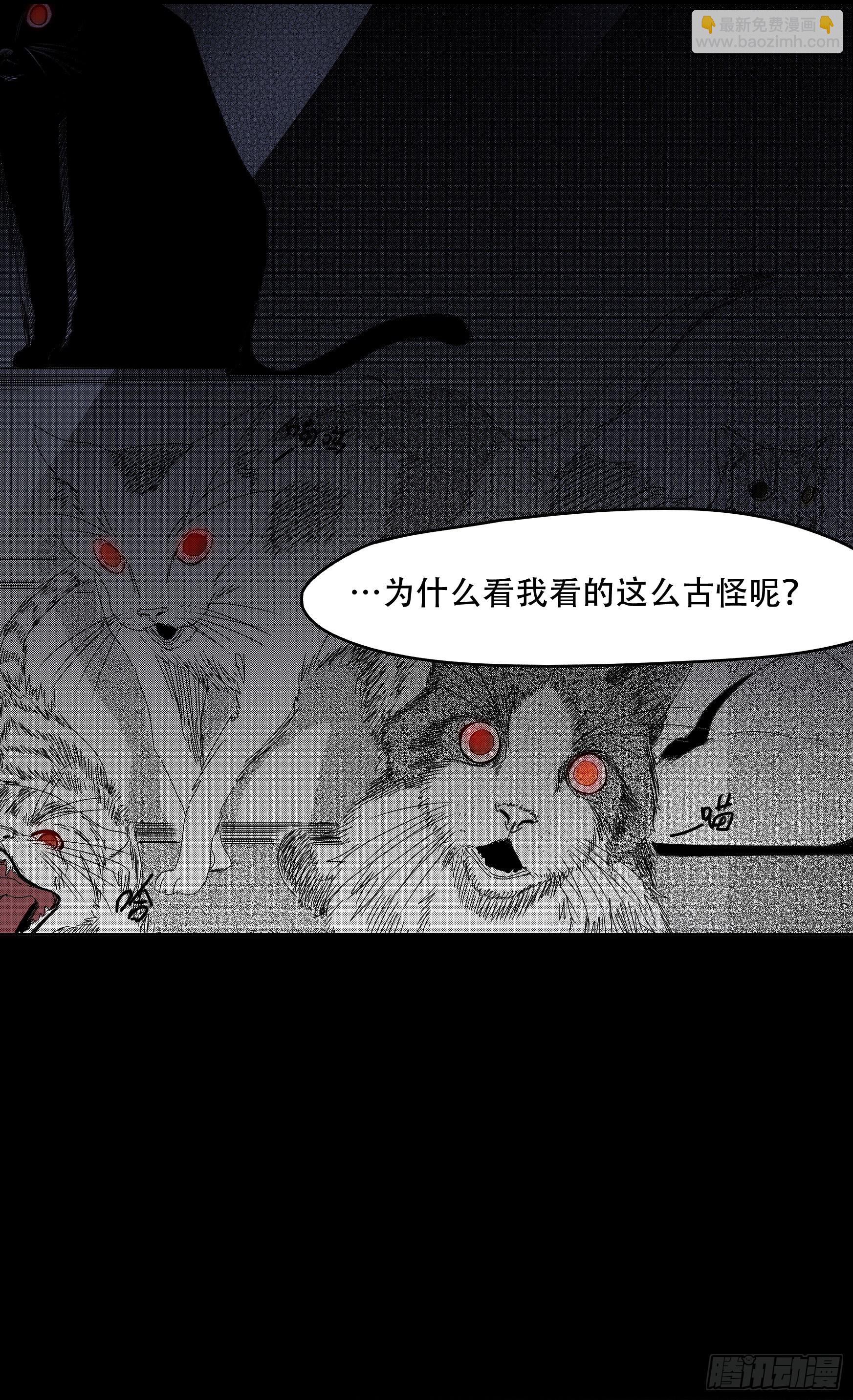 世有蹊蹺 - 看家的貓 - 7