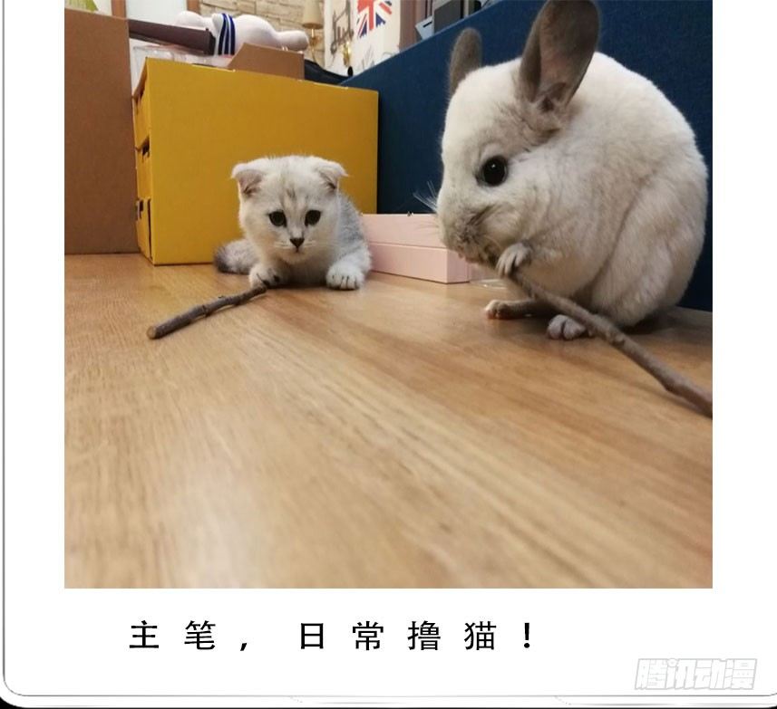 世有蹊蹺 - 看家的貓 - 2
