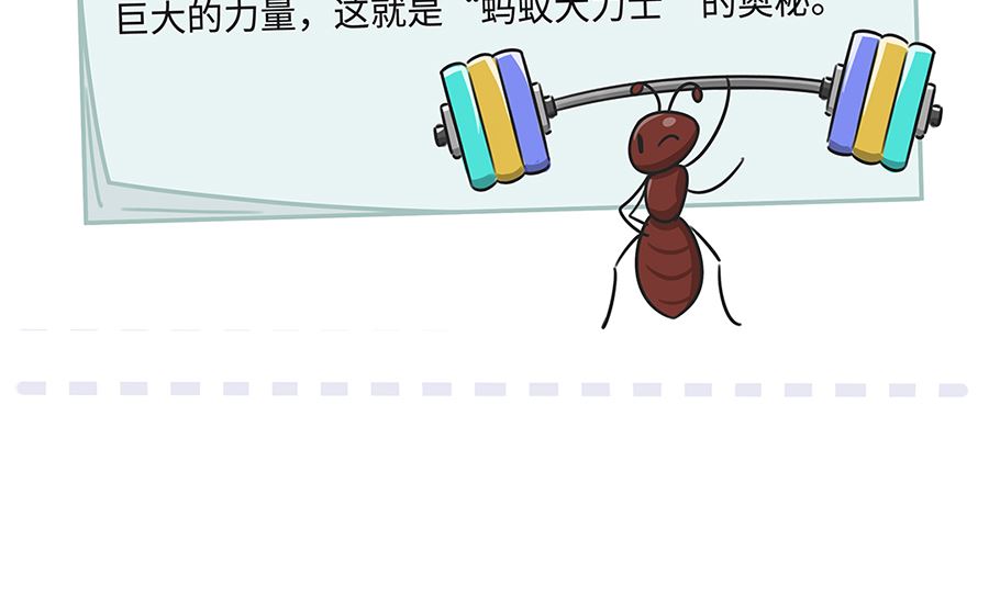 第九十六话 比试-第96话