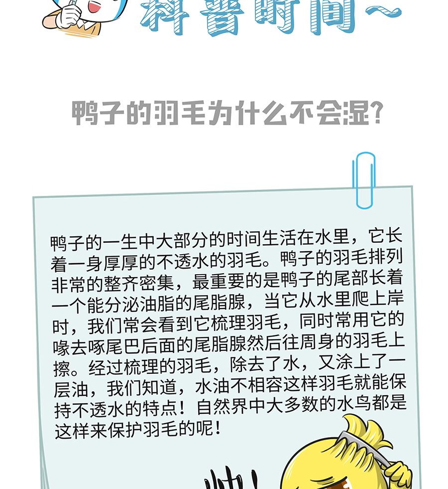 第九十八话 担忧-第98话