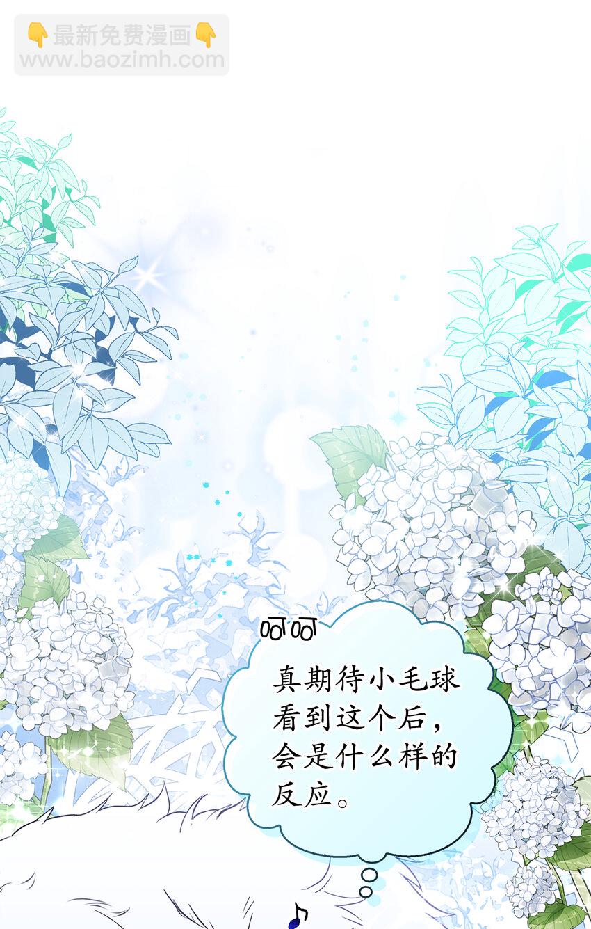 13 星座大人降临(1/2)-第14话