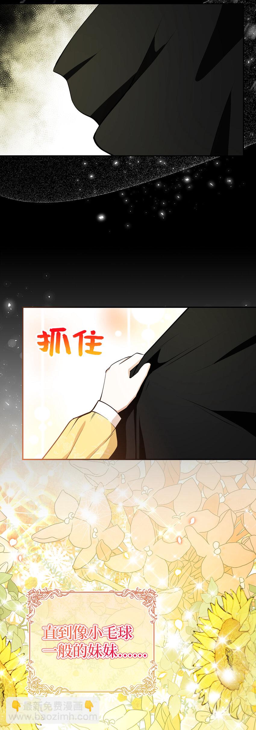 29 小毛球一般的妹妹(1/2)-第30话