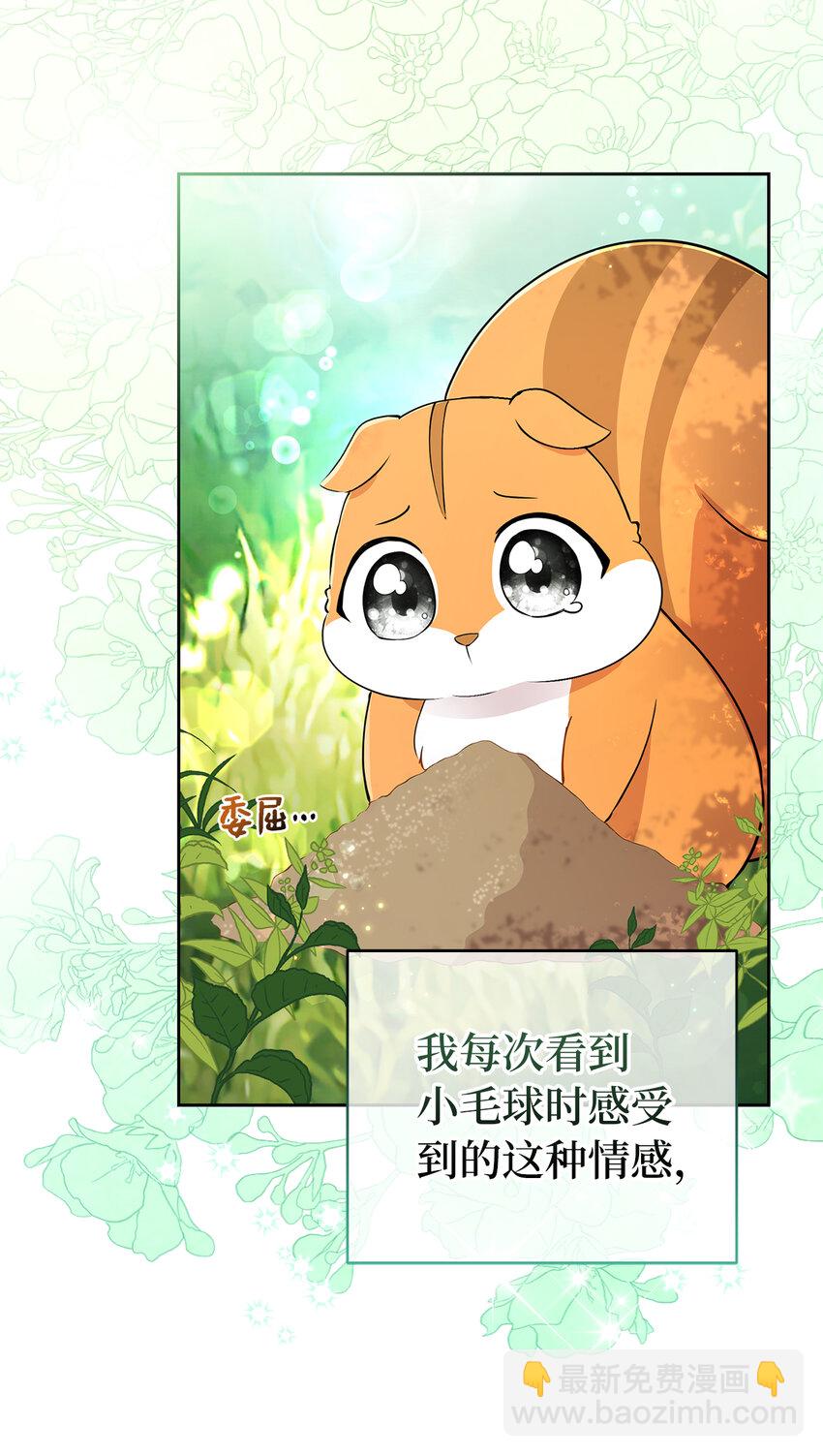 獅子公爵家的松鼠千金 - 29 小毛球一般的妹妹(2/2) - 1